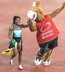 KR-Collection-240- MG 7237